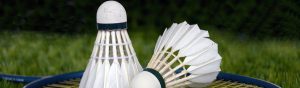 Deux volants posés sur une raquette de badminton, l'un couché, l'autre debout,l sur fond de gazon